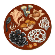 Wolfkamp & Stone - NZ Fungi Phellodon - Placemat